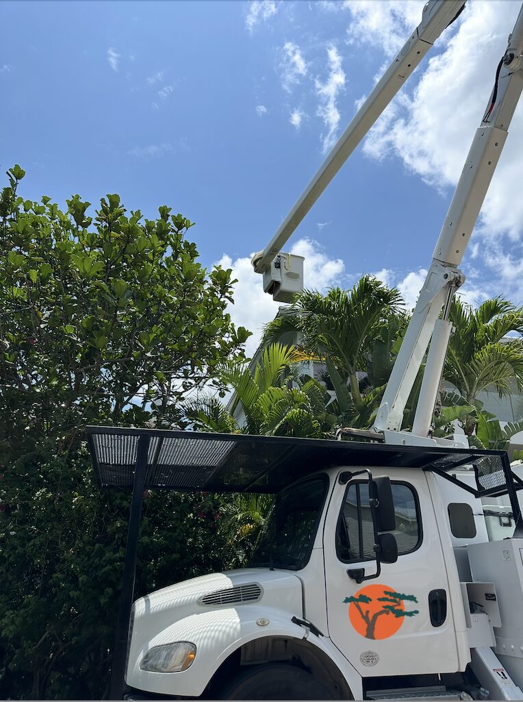 Tree Maid Tree Care Expert Tree Service Truck in Palm Beach County, FL