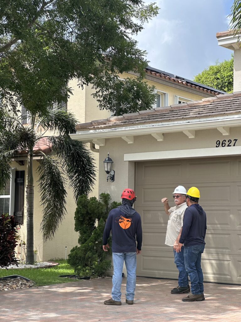 Tree Maid Tree Service professional tree care work in Palm Beach County, FL