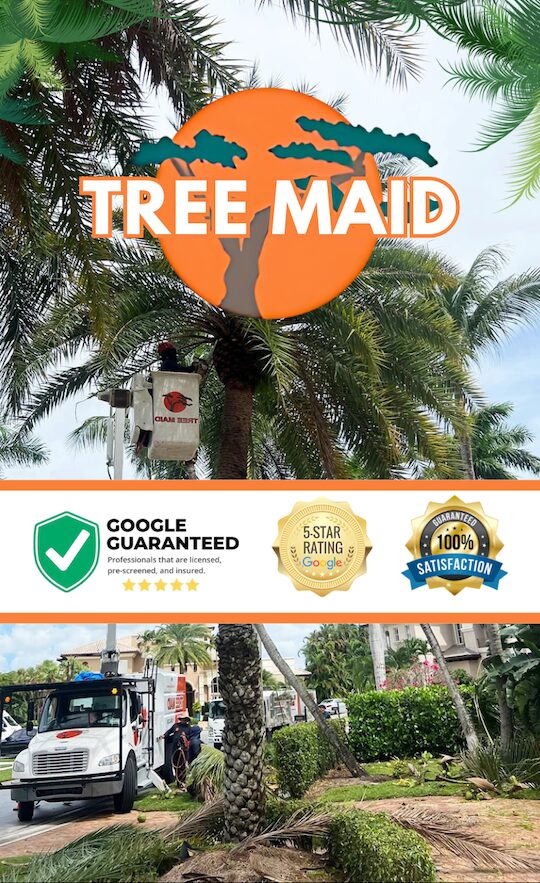 TREE MAID CONTACT SIDE BANNER in Palm Beach County, FL
