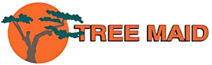Palm Trimming and Tree Services Palm Beach County for Delray, Boca, Boynton, West Palm, and Wellington, FL by Tree Maid