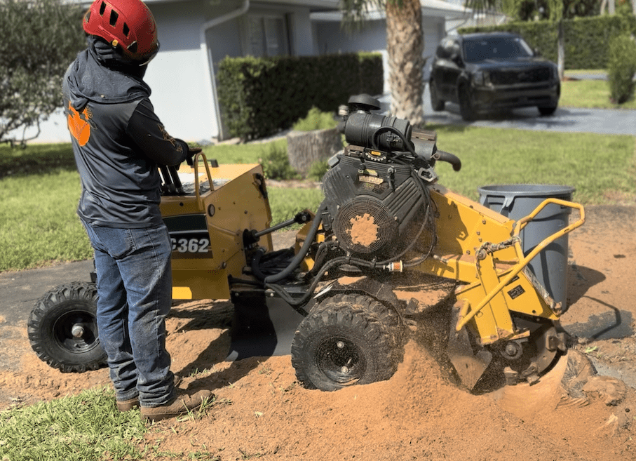 Stump removal and tree service stump grinder operated by Tree Maid Tree Service at a property in Greenacres, FL