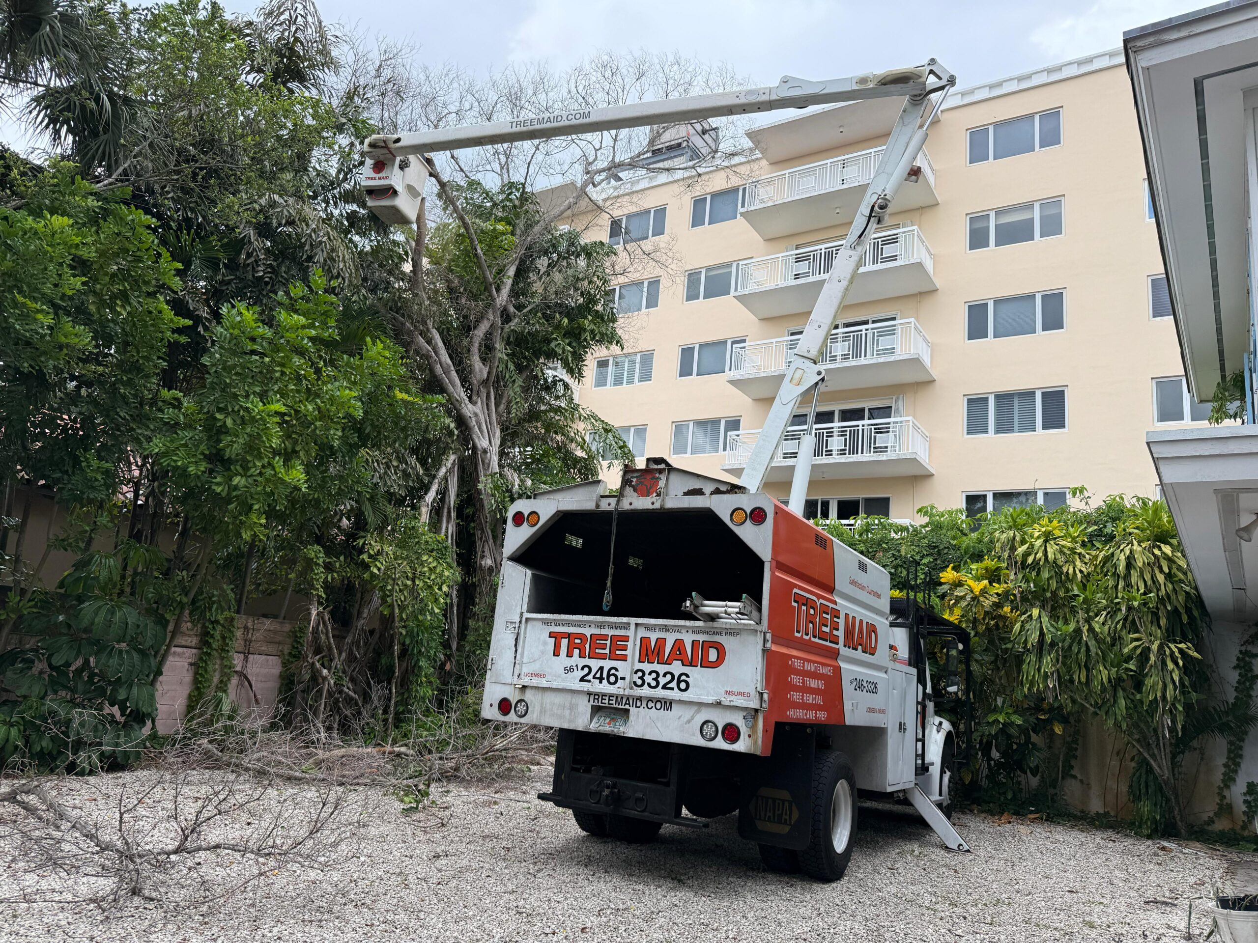 Tree Maid Tree Service Truck 2 in Palm Beach County, FL