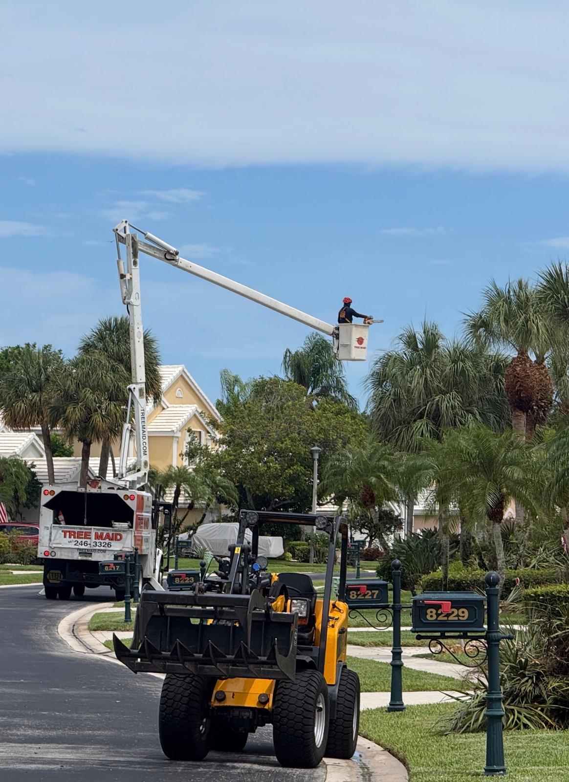 tree maid tree service truck trimming tree house
