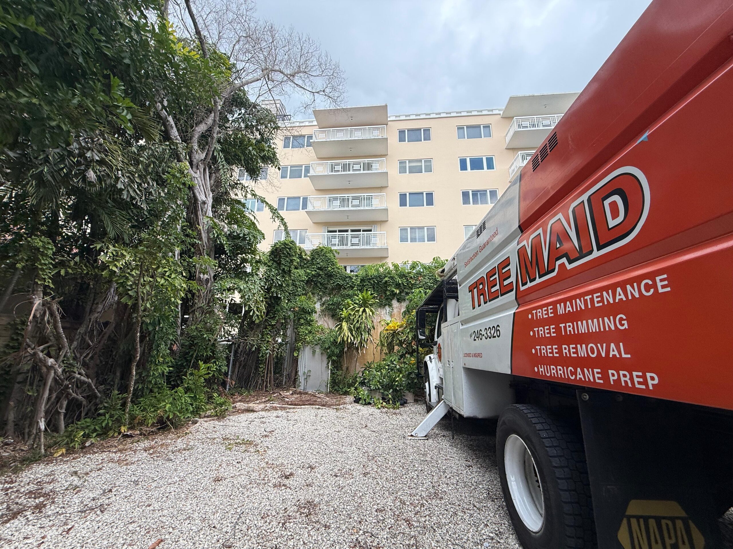 Tree Maid Tree Service Truck photo in Palm Beach County, FL