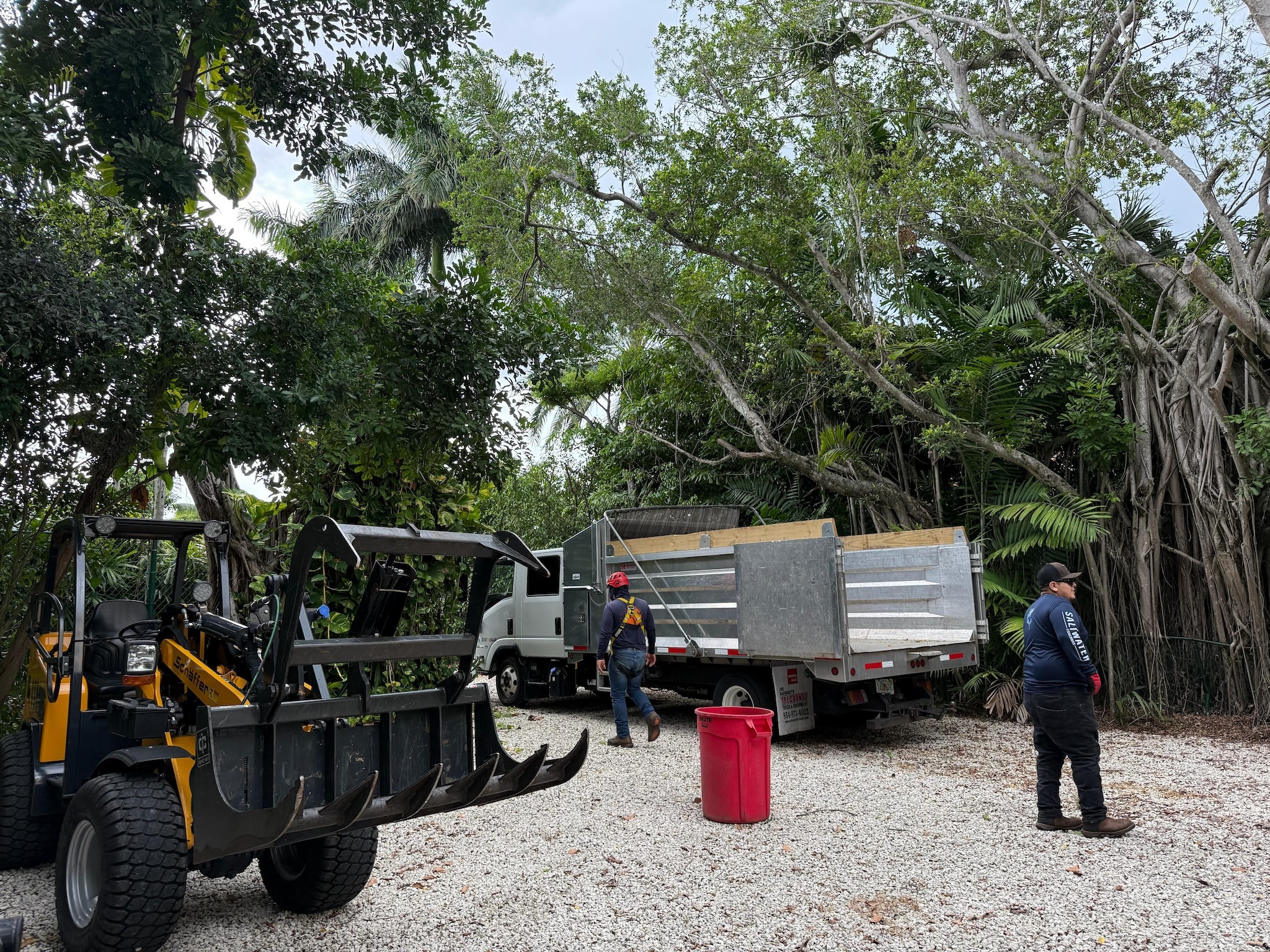 Emergency Tree Removal & palm services by Tree Maid Tree Services in Palm Beach County servicing Delray Beach, Boynton Beach, Boca Raton, Wellington, FL, Lantana, West Palm Beach & Palm Beach Gardens FL