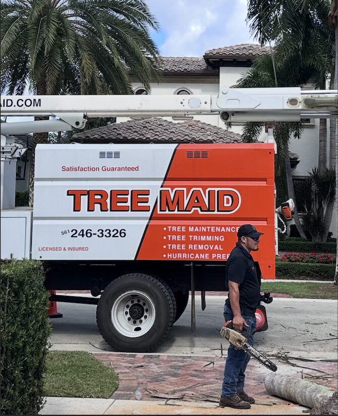 Tree Maid crew performing safe tree removal at a residential property in Palm Beach County, FL
