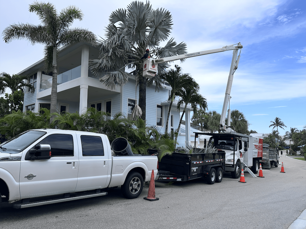 tree trimming truck bucket - Tree Maid Tree Service, Palm Beach County FL