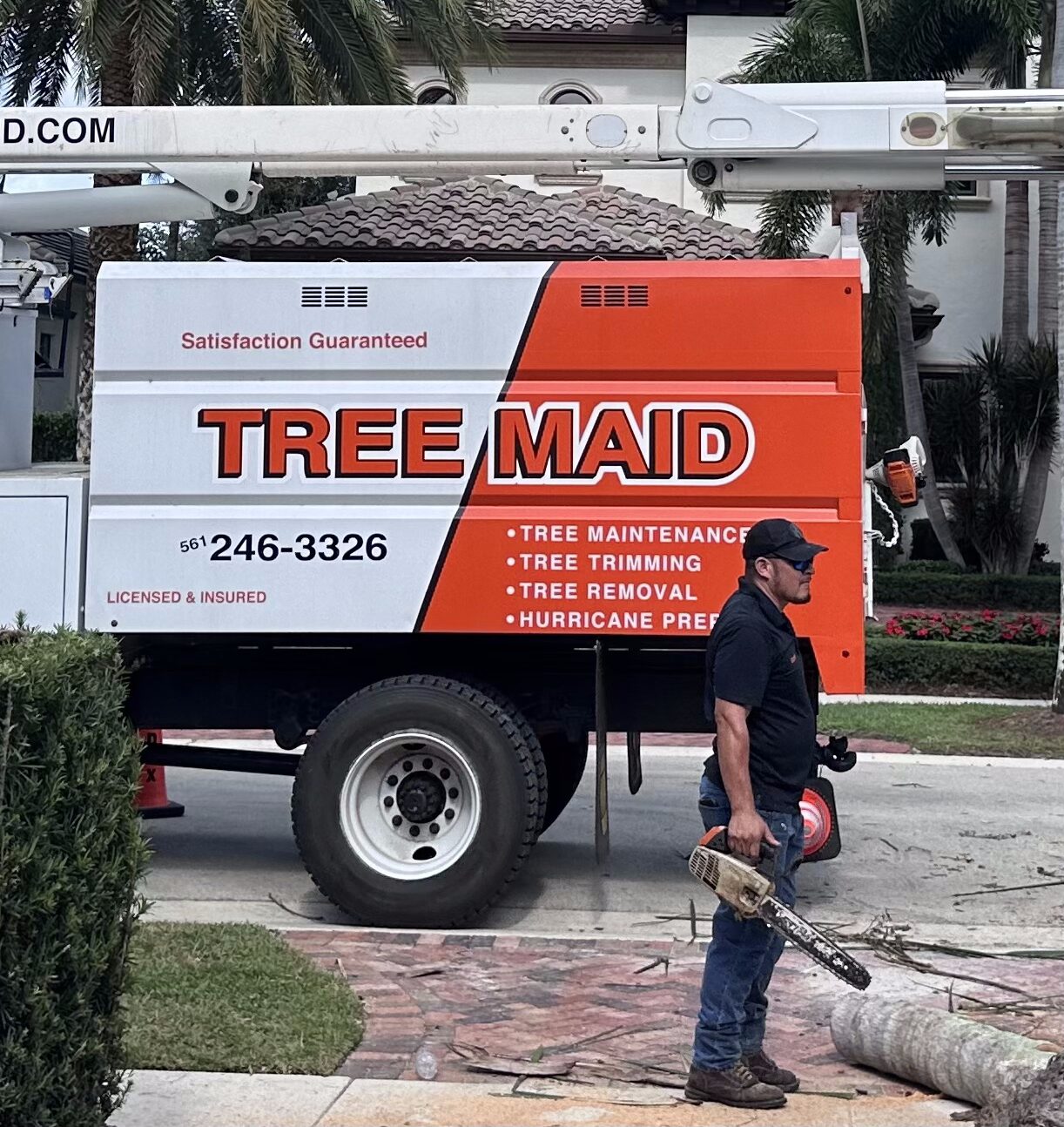 Tree Removal Boynton Beach and Stump Removal. Tree Services Boynton Beach by Tree Maid