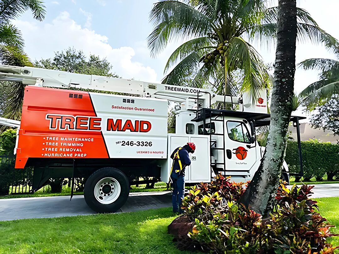 Tree Service & Removal Lake Worth - Tree Maid Tree Service, Palm Beach County FL