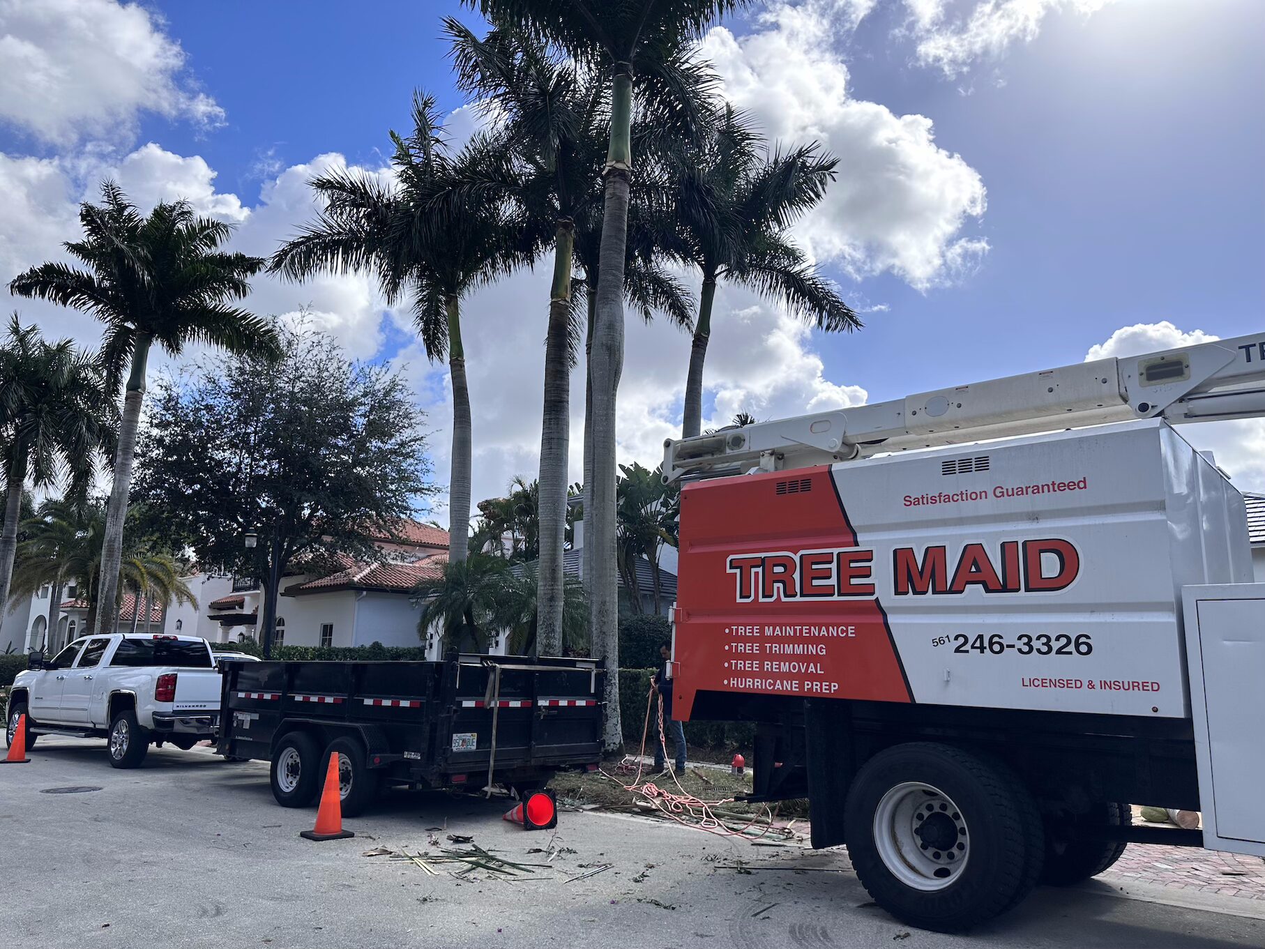 Tree Maid Tree Service professional tree care work in Palm Beach County, FL