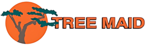 Tree Maid Lake Worth Beach based tree service, removal, and palm trimming company