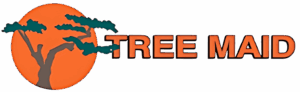 Tree Maid Tree Service - Tree Removal & Palm Trimming Based In Lake Worth Beach, FL