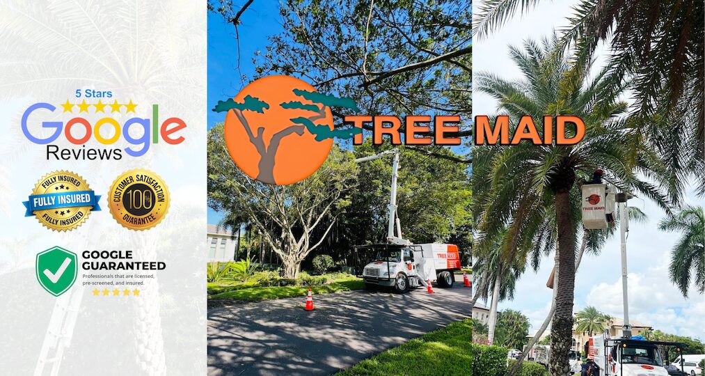 Home service tree and lawn client by tree maid. Hire palm tree trimming service and landscape design Delray Beach by Tree Maid