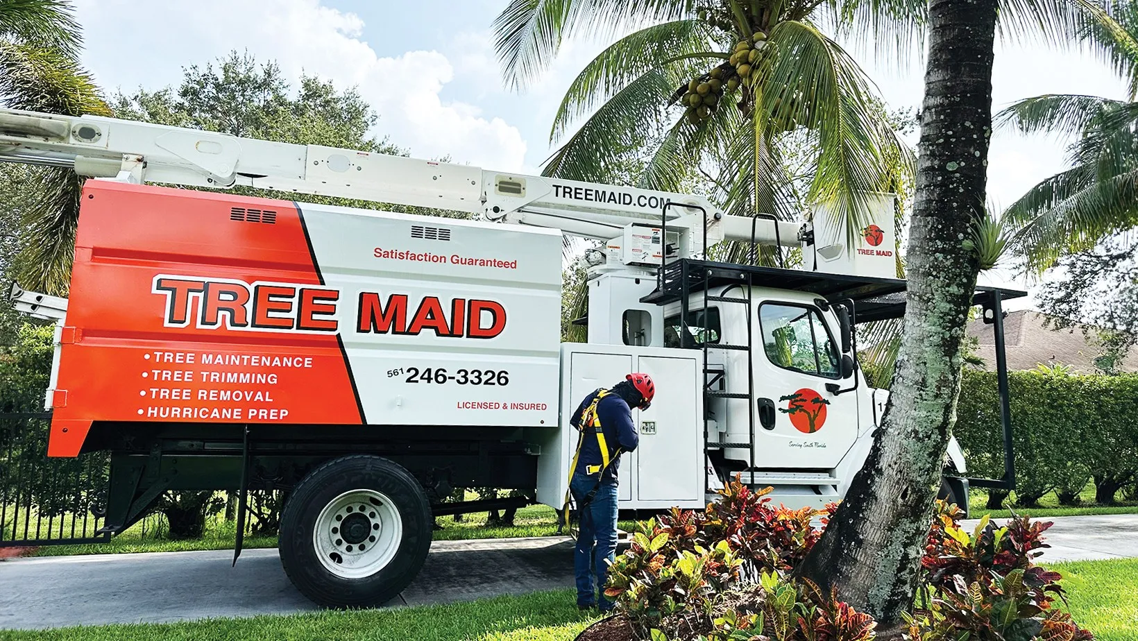Tree Maid branded service truck parked next to palm trees in Lake Worth, FL